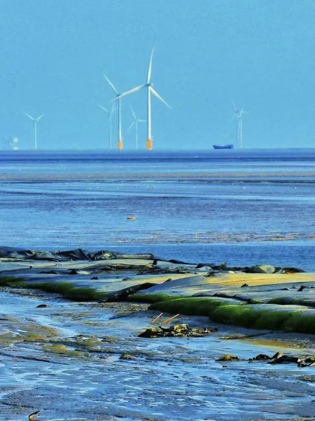 Yancheng Yellow Sea Wetland