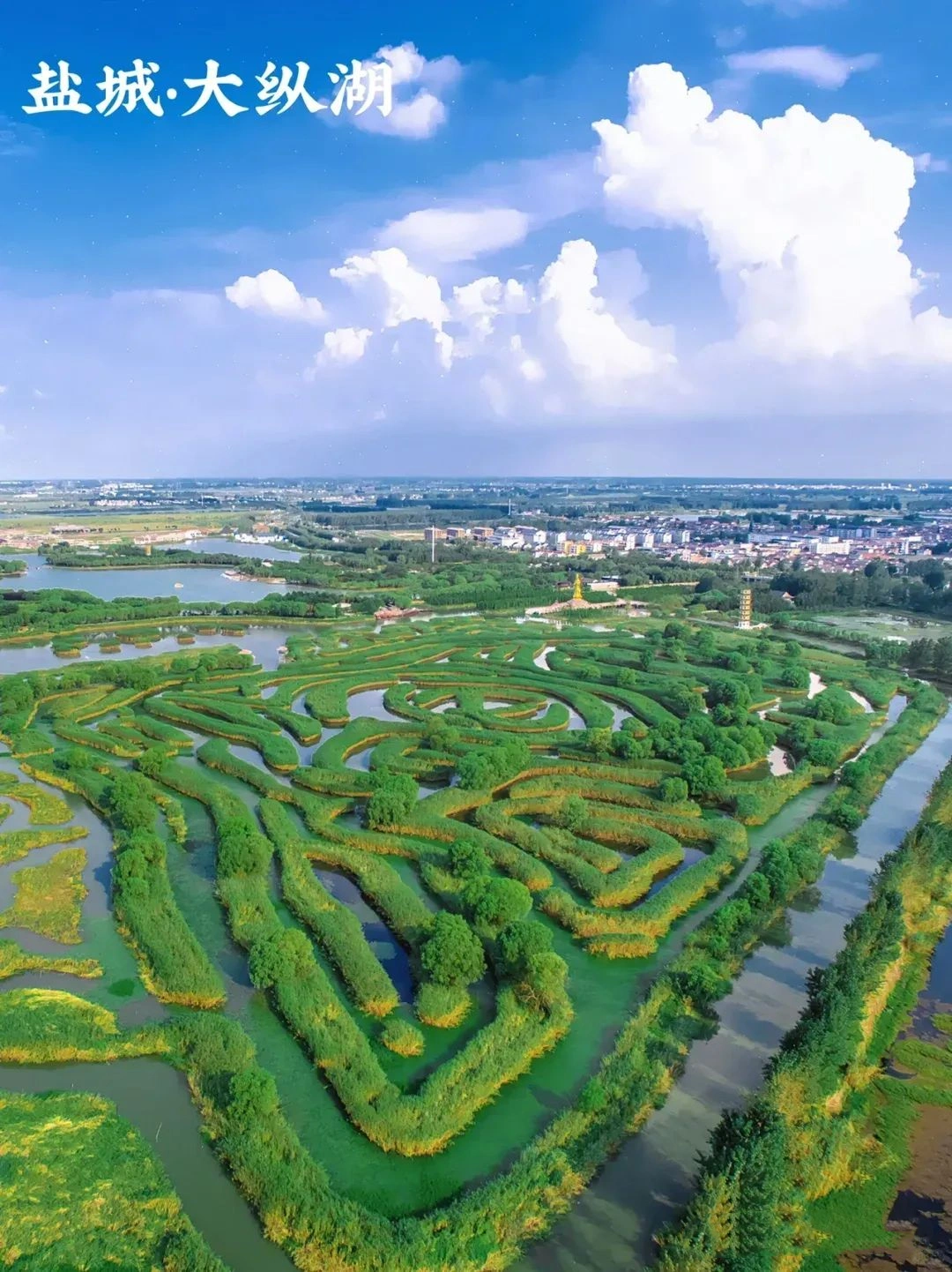 Yancheng Yellow Sea Wetland