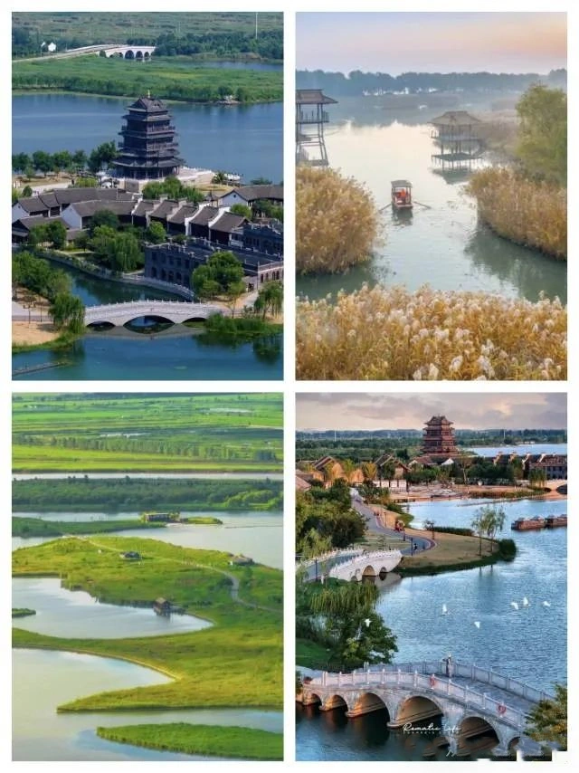 Yancheng Yellow Sea Wetland