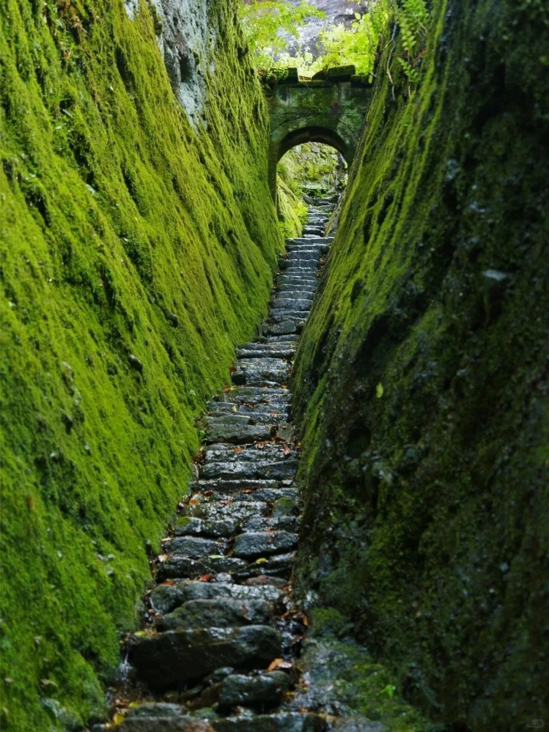 Wuyi Mountain is recognized as a World Heritage Site by the United Nations! Recommended by National Geographic as a top place to visit many times!